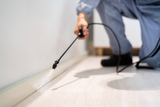 Licensed Cockroach Control service in Fortuna, CA - Nex Pest Control