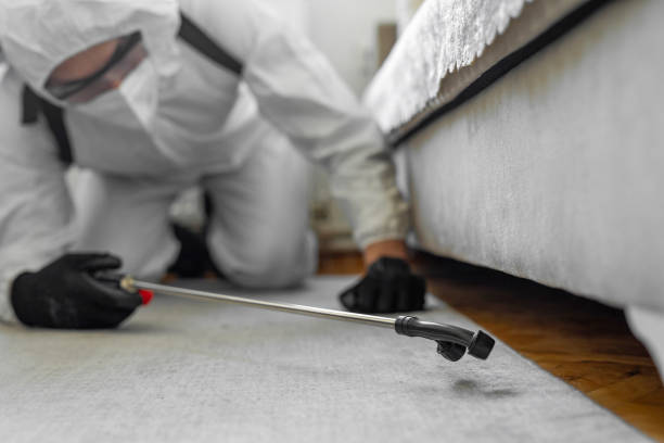 Professional Cockroach Control technician working in Fortuna, CA