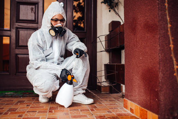 Reliable Cockroach Control contractor in Fortuna, CA by Nex Pest Control